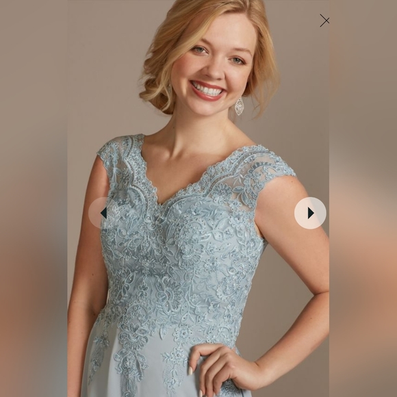 Oleg Cassini scalloped lace v-neck chiffon dress - Picture 6 of 6